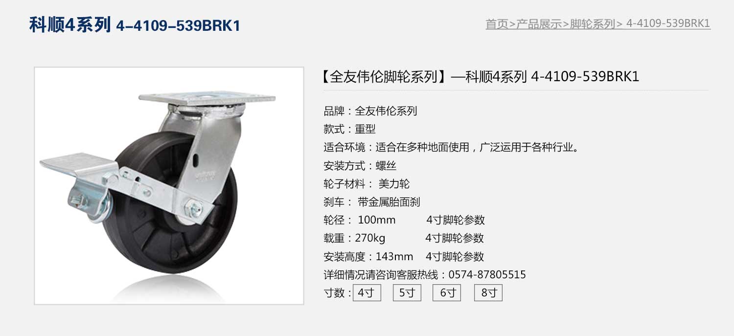 4-8199-539BRK1  1.jpg